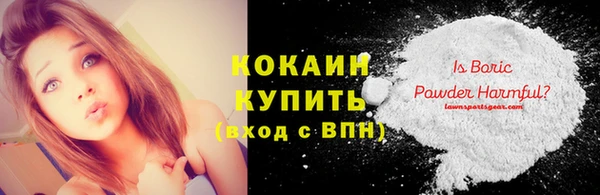 молекула духа Каменногорск