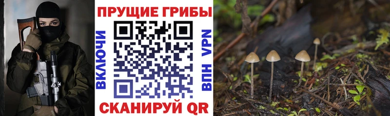 Псилоцибиновые грибы Cubensis  Купить закладки  Дыгулыбгей 